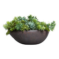 Plantes succulentes mélangées