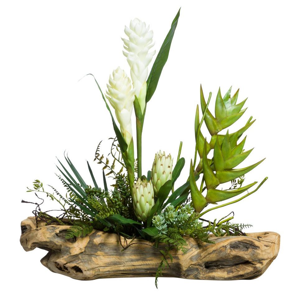 PLANTES TROPICALES / SUCCULENTES ASSORTIES DANS UNE BRANCHE DE BOIS SCULPTÉE