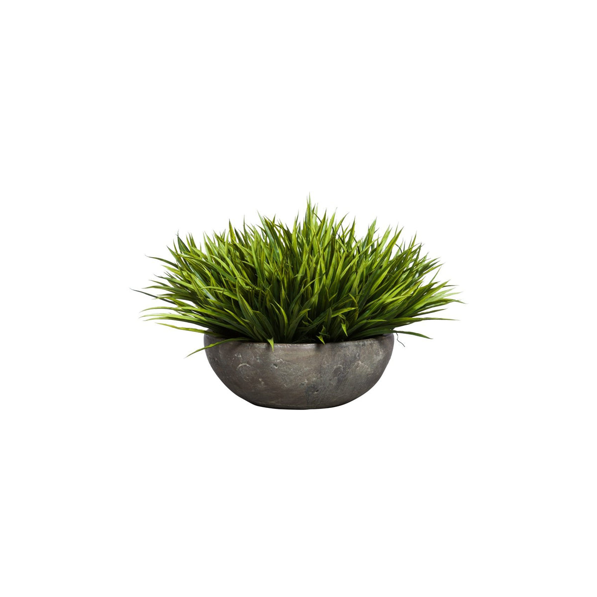 HERBE À ÉPÉES DANS LE YARA BOWL