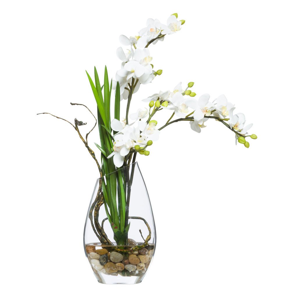 MINI PHAL BLANC COMME DE L'EAU
