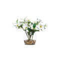 HELLÉBORIS BLANC EN VASE TONNEAU