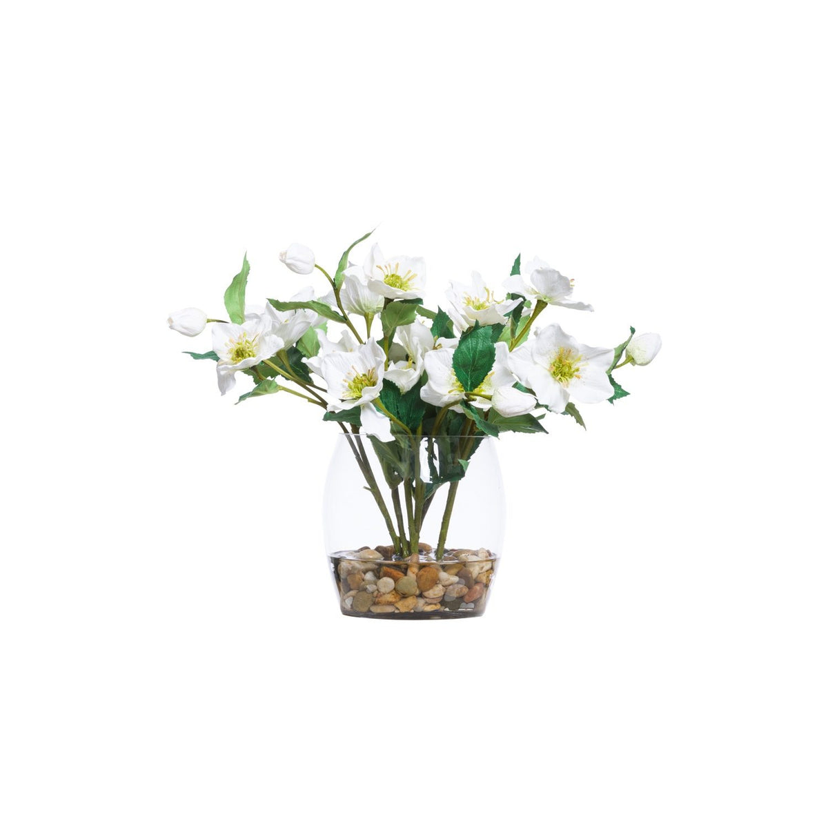 HELLÉBORIS BLANC EN VASE TONNEAU