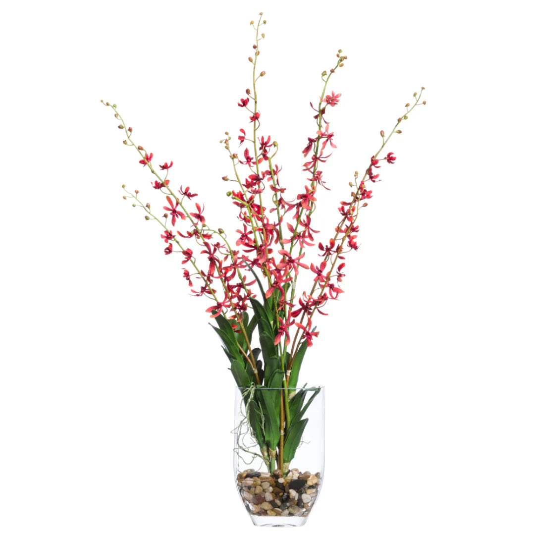 Orchidée Vanda FW