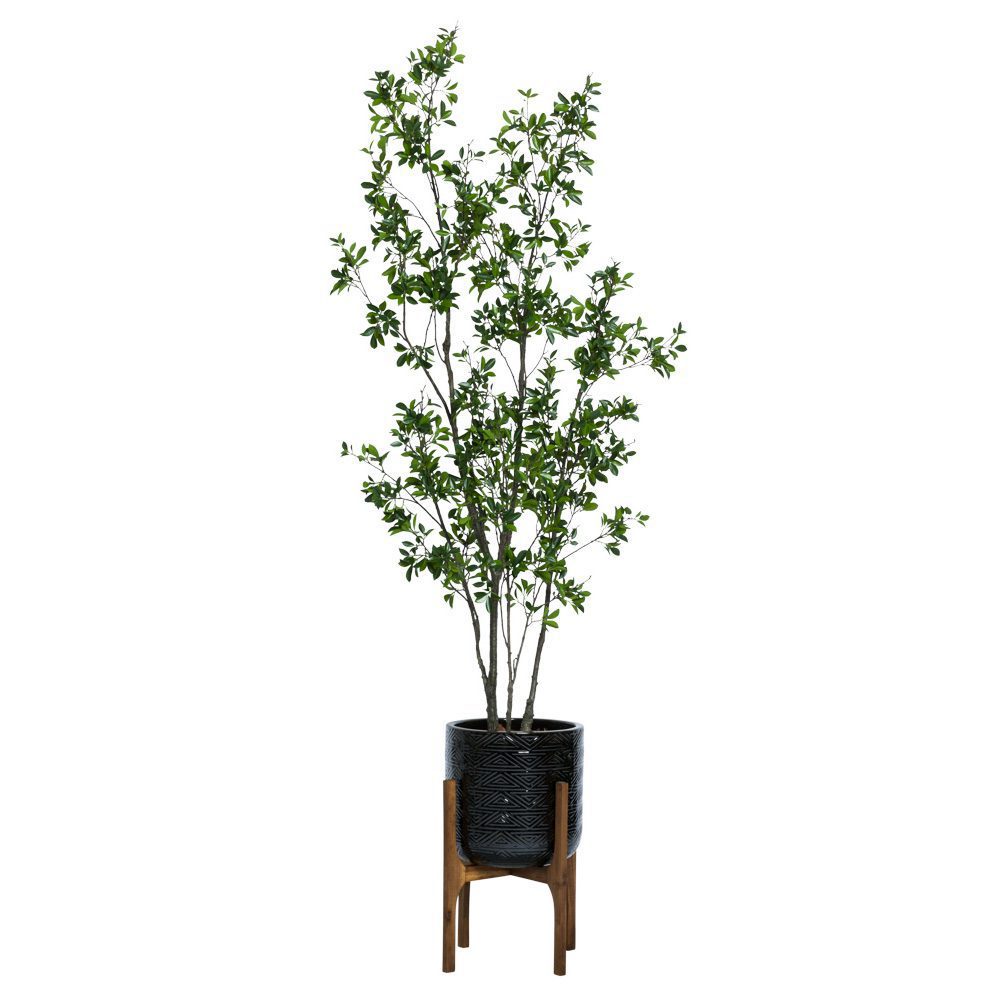 Ficus asiatique de 2,4 m (8 pi) dans un support à plantes texturé