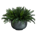 Palmier Cycas en pot gris