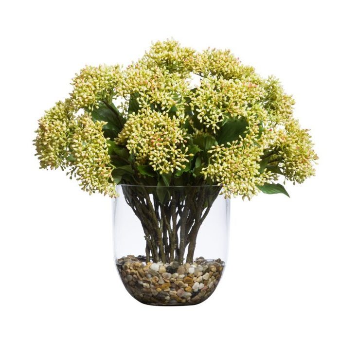 SPRAY DE GRAINES DE CORBEILLE AVEC DE L'EAU COMME